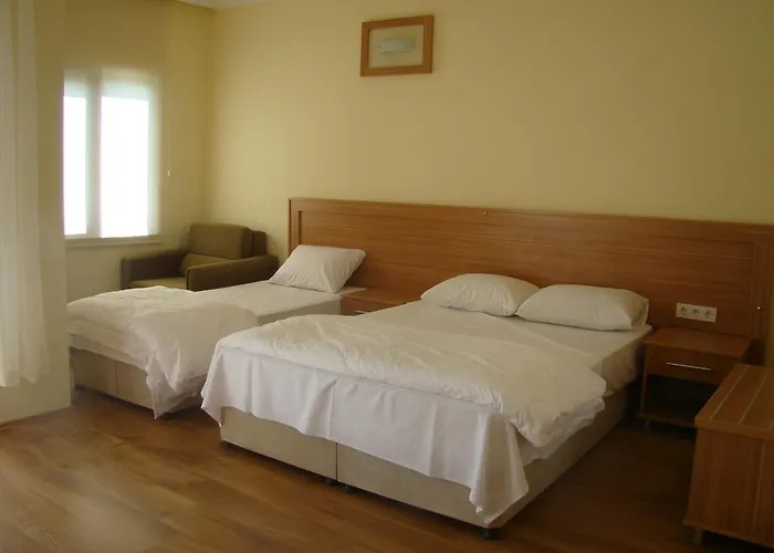 فندق مبيت وإفطار Golbasi *